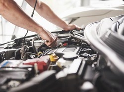 Mobil Terlalu Lama Diparkir, Hati-hati Jadi Sarang Tikus