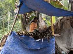 Suku Polahi di Gorontalo: Masyarakat Primitif dengan Tradisi Kawin Sedarah