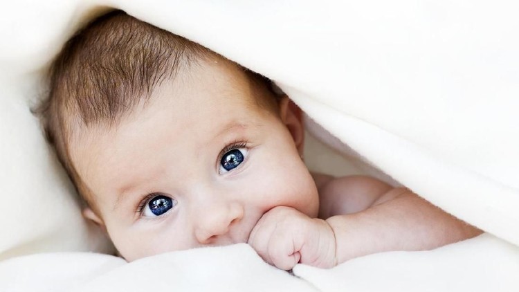 30 Nama Bayi Perempuan Islami Berawalan L dengan Makna Indah Memberi nama si kecil dengan awalan L dengan nuansa Islami bisa jadi referensi, Bun.