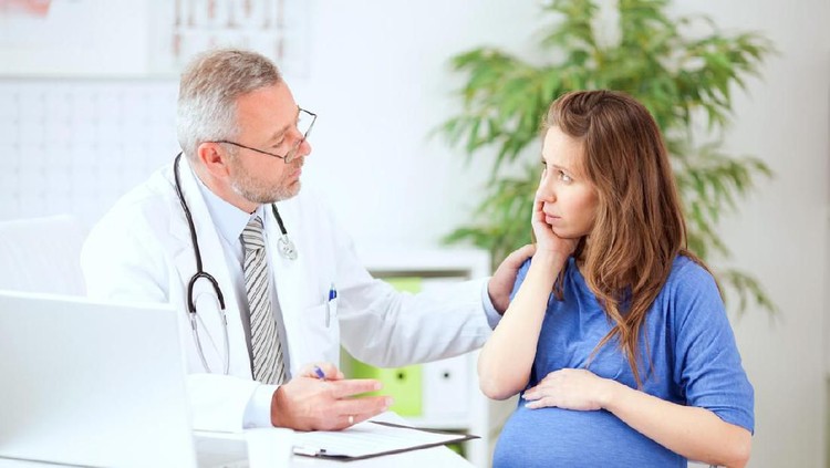 Pregnant women patient talking with doctor