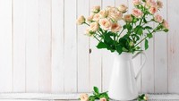 3 Cara Merawat Bunga Mawar Agar Tidak Cepat Layu dan Indah Merona
