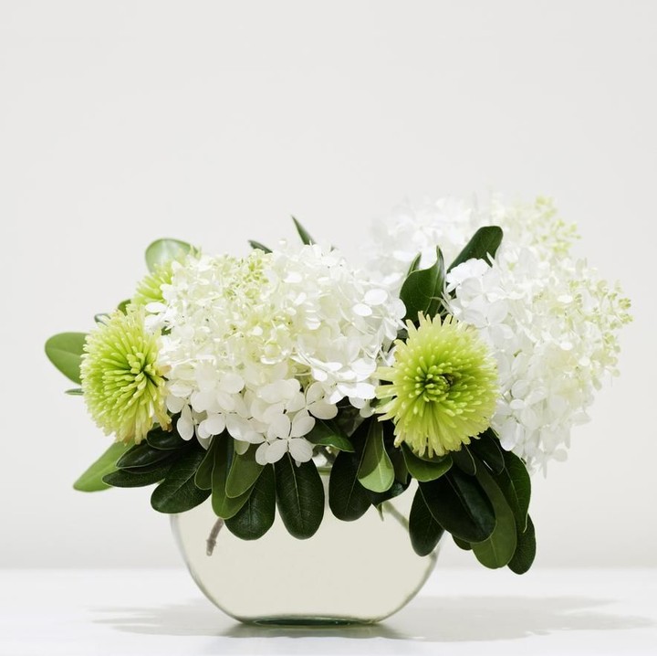 <p>Bunga hortensia atau <em>Hydrangea</em> juga dikenal dengan nama kembang bokor. Sebagian besar spesies bunga ini berasal dari Jepang dan Tiongkok. Bunga hortensia termasuk tanaman hias populer karena ukurannya yang besar. (Foto: iStock)</p>
