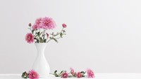 6 Jenis Bunga Cantik Penghias Ruangan Saat Lebaran