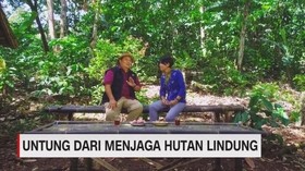 VIDEO: Untung Dari Menjaga Hutan Lindung (5/5)