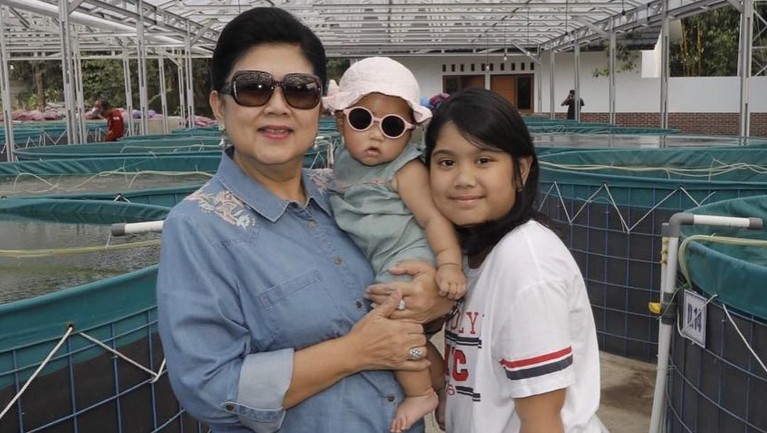 5 Momen Ibu Ani Yudhoyono Bersama Para Cucu Ibu Ani Yudhoyono menghembuskan nafasnya hari ini, Sabtu (1/6) di Singapura, berikut 5 momen Ibu Ani Yudhoyono dengan sang cucu.