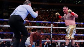 Andy Ruiz, Diejek Gendut Hingga Jadi Juara Dunia