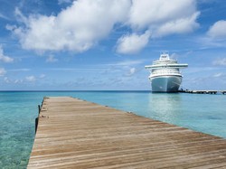 Kapal Pesiar Coral Princess Ditolak Sandar di Argentina, Ada 60 WNI Jadi ABK