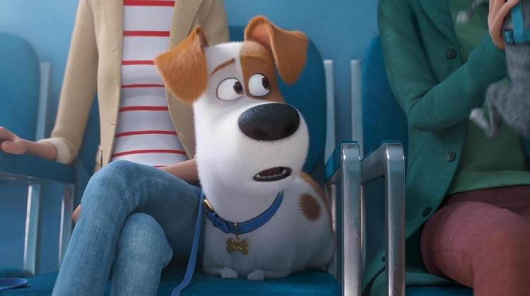 Libur sekolah, Bunda bisa ajak si kecil menyaksikan film The Secret Life of Pets 2. Banyak pesan moral di film ini yang bisa diajarkan ke anak.
