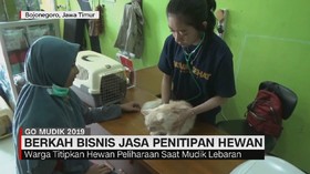 VIDEO: Musim Mudik Berkah Bagi Jasa Penitipan Hewan