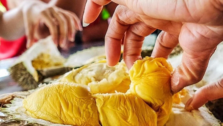 Makan Durian Selama Kehamilan Bikin Susah Lahiran Normal 