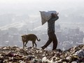 Gunung Sampah di India Bakal Kalahkan Tinggi Taj Mahal