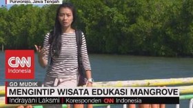 VIDEO: Mengintip Wisata Edukasi Magrove