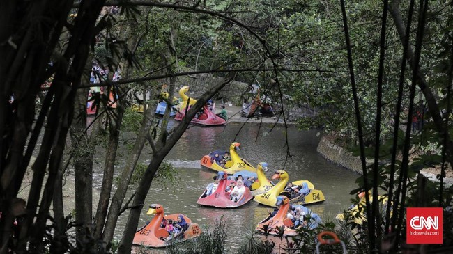 Kebun Binatang Ragunan kembali dibuka Sabtu (13/3) besok dengan kapasitas maksimal 5.000 pengunjung mulai pukul 07.30 WIB sampai 14.30 WIB.