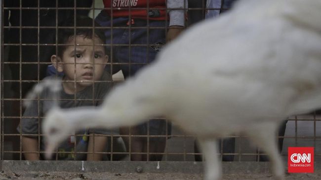 Ribuan pengunjung memanfaatkan liburan Lebaran untuk berwisata ke kebun binatang Ragunan di Jakarta, Kamis, 6 Juni 2019. Peningkatan kunjungan ke Ragunan diperkirakan berlangsung selama 11 hari,  yakni 6 Juni hingga 16 Juni atau masa liburan Lebaran. Dengan prediksi puncak pengunjung pada akhir pekan nanti diperkirakan rata-rata ada 150.000 orang yang mengunjungi Ragunan. (CNN Indonesia/Adhi Wicaksono)