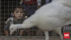 Suka Duka Tukang Foto Keliling di Kebun Binatang Ragunan