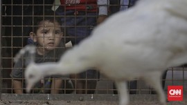 Pengunjung Hari Pertama KB Ragunan Buka: Baru Ini Sepi Banget