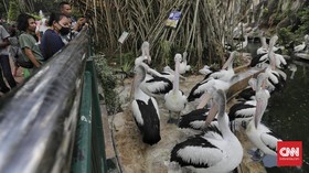 Libur Panjang, Tempat Wisata Rawan Jadi Klaster Corona