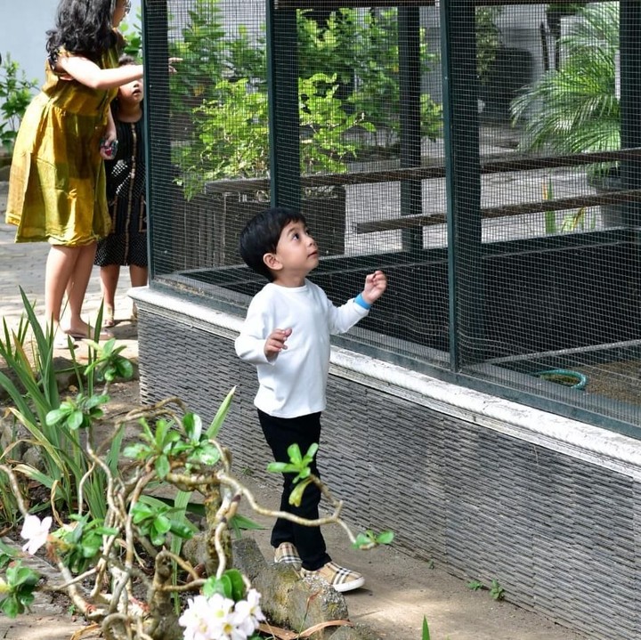 <p>Nah ini ketika Jan Ethes diajak Presiden Joko Widodo bersilaturahmi ke Kraton Yogyakarta. Putra Gibran dan Selvi ini asyik mengeksplorasi. (Foto: Muchlis Jr - Biro Sekretariat Presiden)</p>