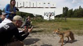 FOTO: Plesiran di Chernobyl Miniseri HBO tentang Cherynobyl sukses mengubah kota hantu ini menjadi objek wisata favorit.