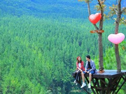 5 Wisata Lembang Kekinian, Seru Buat Foto-Foto