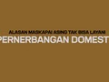 Alasan Maskapai Asing Tak Bisa Layani Penerbangan Domestik