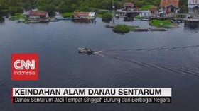 VIDEO: Keindahan Alam Danau Sentarum (2-5)
