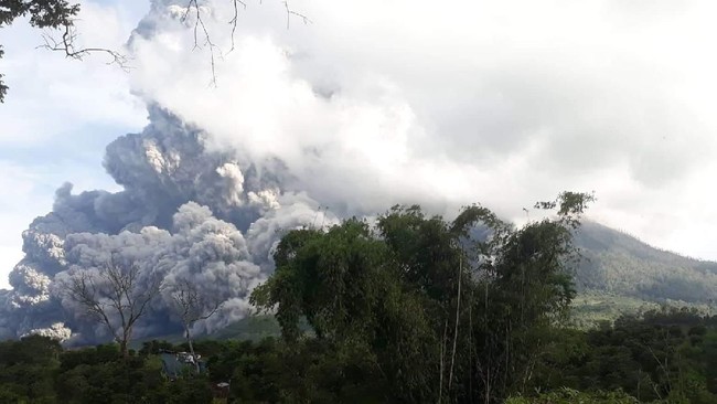 Erupsi Gunung Sinabung membuat ribuan hektare lahan pertanian terpapar abu vulkanik.