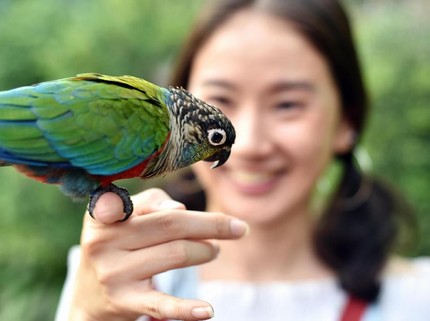 Kuis Kepribadian: Hewan Mana yang akan Bunda Adopsi?