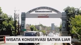 VIDEO: Wisata Konservasi Satwa Liar