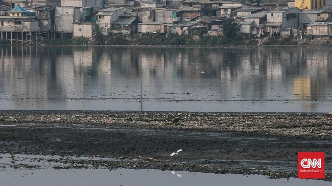 DPRD DKI Jakarta akan memanggil Dinas Sumber Daya Air (SDA) DKI Jakarta terkait penumpukan sampah di Waduk Pluit. Pemanggilan itu akan dilakukan pekan depan.