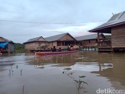 Banjir Genangi 6 Kecamatan di Sidrap, 921 Rumah Terendam