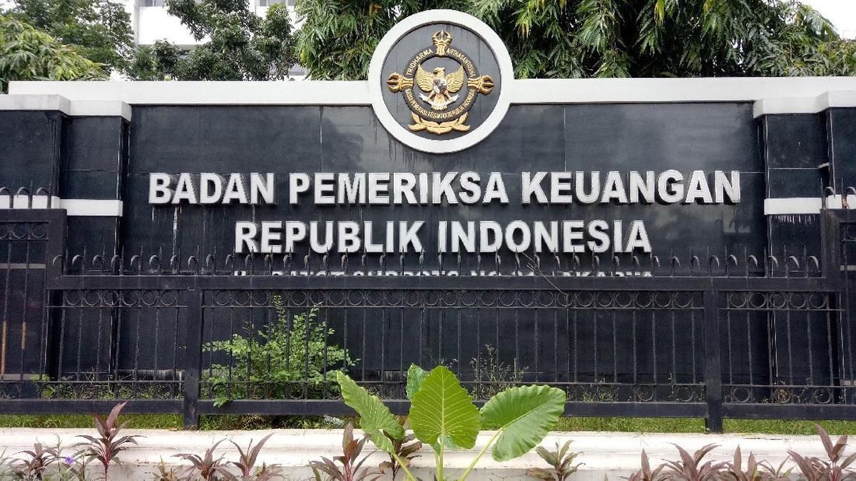BPK Mulai Periksa Laporan Keuangan Danantara