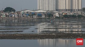 FOTO: Potret Pendangkalan Waduk Pluit Jakarta