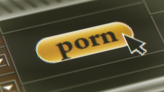 Berdasarkan penelitian yang dimuat di jurnal Kanada, menyebutkan bahwa nonton video porno dan video online lainnya bisa menyumbang polusi.