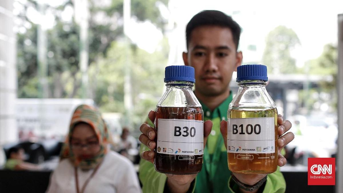 Uji Jalan Biodiesel B50 Sudah Dimulai, Bakal Berjalan 6 Bulan