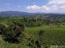6 Kampung Wisata yang Lebih Asri dari Ciwidey, Tapi Belum Terlalu Ramai