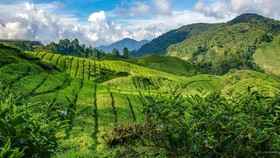 Bukan Indonesia, Malaysia Surga bagi Pendaki di Asia Tenggara