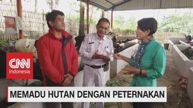 VIDEO: Memadu Hutan Dengan Peternakan (2-5)