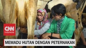 VIDEO: Memadu Hutan Dengan Peternakan (4-5)