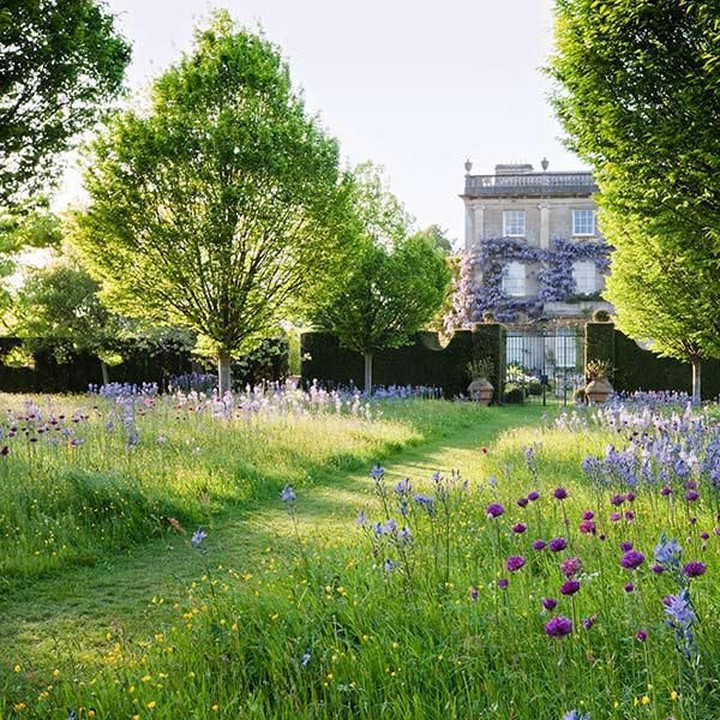 <div>Sekarang, setelah direnovasi, kebun itu terbagi menjadi beberapa area, masing-masing mencerminkan minat dan antusiasme Pangeran Charles. Ada The Stumpery yang kaya akan tumbuhan liar dan sentuhan gaya victoria. Kemudian Cottage Garden, Sundial Garden, Thyme Walk, dan Wildflower Meadow yang indah berisi bunga-bunga dan tanaman subtropis.</div>