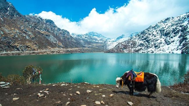 Turis Australia viral usai mengunggah video yang memuji keindahan India dan mengkritik media sosial yang menggambarkan negara itu secara tidak adil.