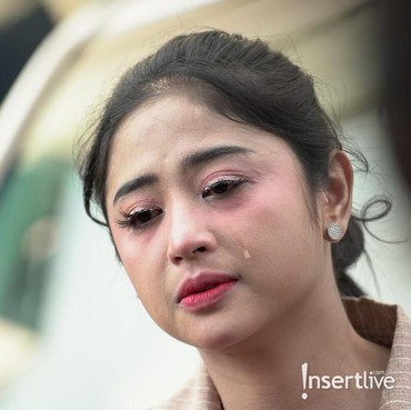 Suami Tak Pernah Beri Nafkah, Dewi Perssik Inginkan Cerai