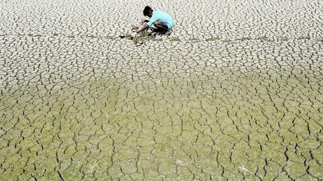 Heat wave between India and Pakistan will test human survivability