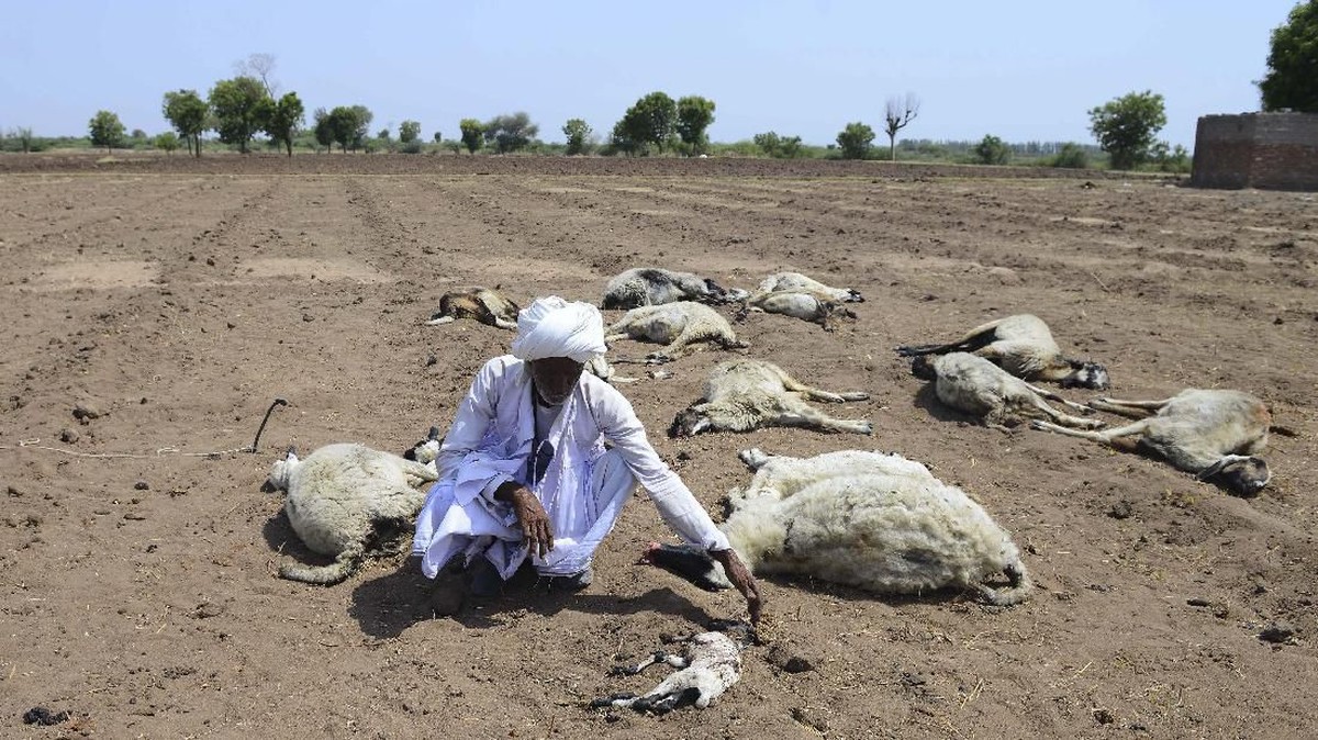 FOTO: Diterjang Gelombang Panas di India