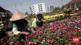 Anggota DPRD Sebut PJLP DKI Dapat Rapelan Gaji UMP 2023 Mulai Oktober