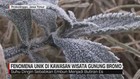VIDEO: Fenomena Turunnya Salju di Kawasan Gunung Bromo