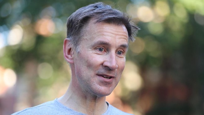 Jeremy Hunt mengawali karir politiknya setelah sukses menjadi pengusaha, setelah sebelumnya sempat meniti karir sebagai guru di Jepang.