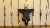 FOTO: Selaras Tubuh dan Pikiran dalam Hari Yoga Internasional Hari Yoga Internasional diperingati pada Jumat (21/6). Momen ini dirayakan oleh masyarakat di berbagai penjuru dunia.