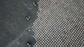 NYALANG: Buih Nirwana di Kaki Langit Dalam foto pilihan CNNIndonesia.com pekan ini, ada cerita sengat matahari di Jalur Gaza dan Pakistan, serta pasangan yang berpose di Danau Michigan.