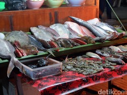 Pemkab Telusuri Getok Harga Rp 16 Juta di Pusat Seafood Labuan Bajo Pemkab Telusuri Getok Harga Rp 16 Juta di Pusat Seafood Labuan Bajo